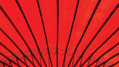 Red fan with black lines behind view our latest opportunities text