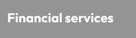 Financial Expert